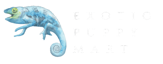 Exotic Puppy Mart